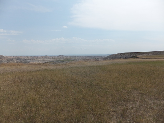 DSCF9444 (08-15-2014 21:59)