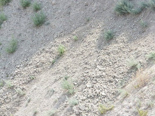 DSCF9447 (08-15-2014 22:00)