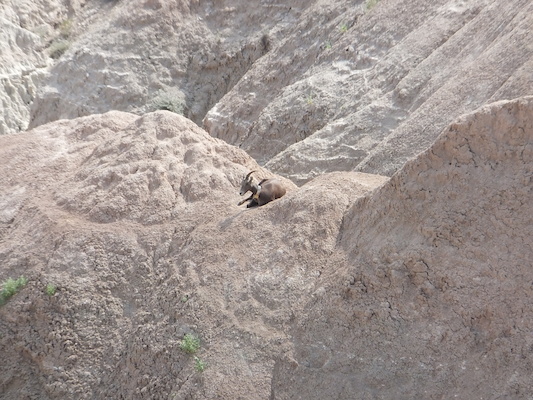 DSCF9448 (08-15-2014 22:01)