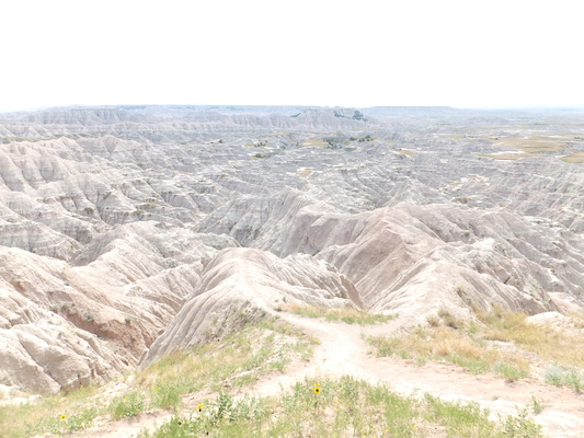 DSCF9456 (08-15-2014 22:13)