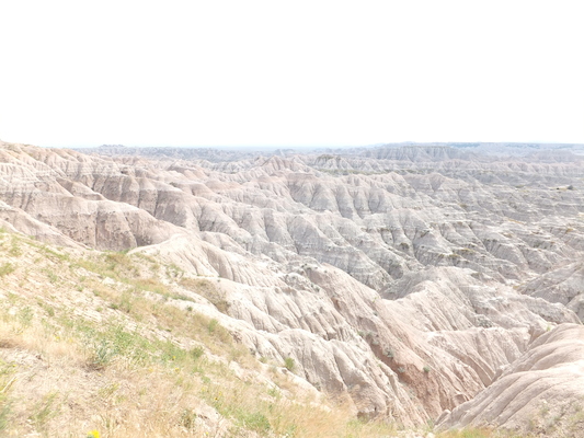 DSCF9458 (08-15-2014 22:13)