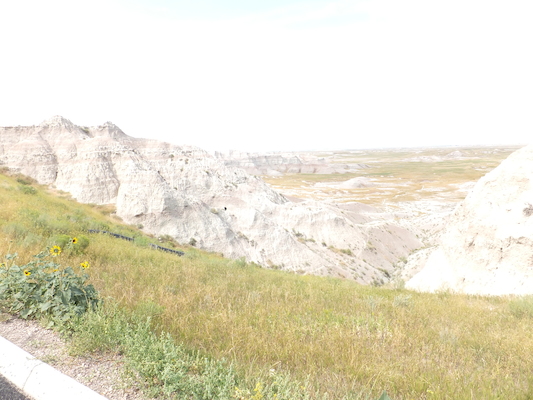 DSCF9459 (08-15-2014 22:21)