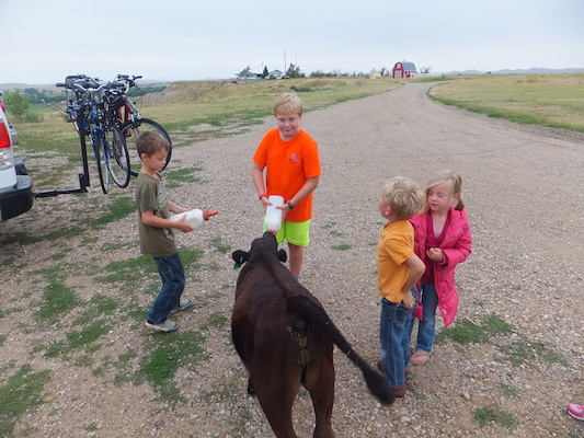 DSCF9469 (08-16-2014 15:18)