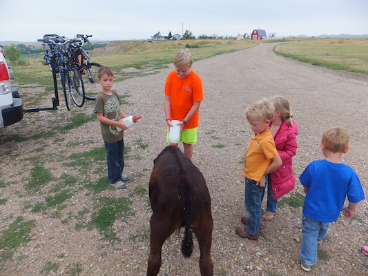 DSCF9470 (08-16-2014 15:18)