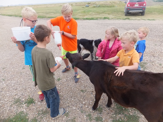 DSCF9471 (08-16-2014 15:18)