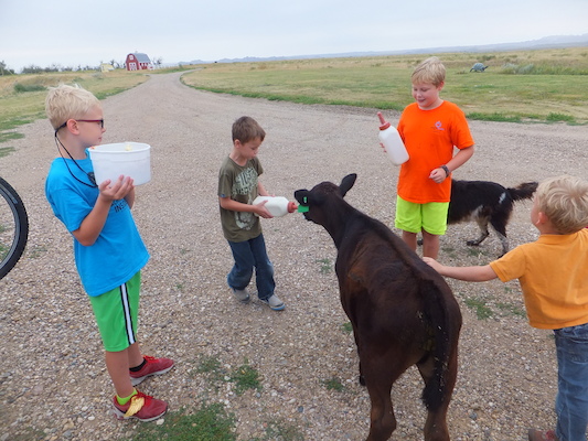 DSCF9472 (08-16-2014 15:18)