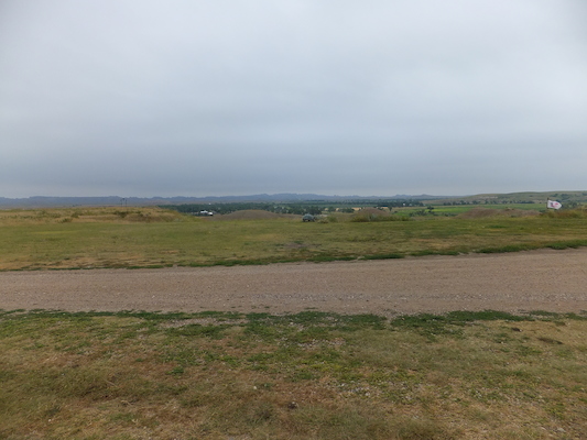 DSCF9478 (08-16-2014 15:28)