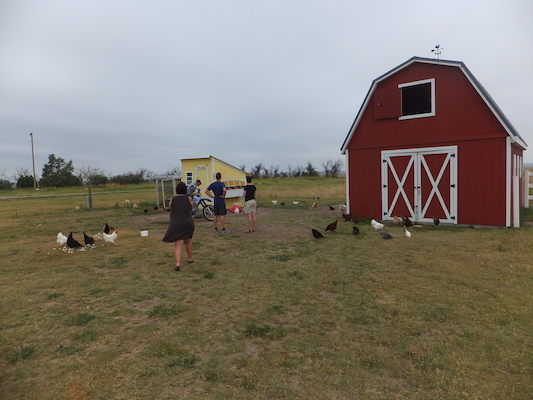 DSCF9479 (08-16-2014 15:29)