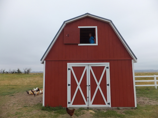 DSCF9486 (08-16-2014 15:31)