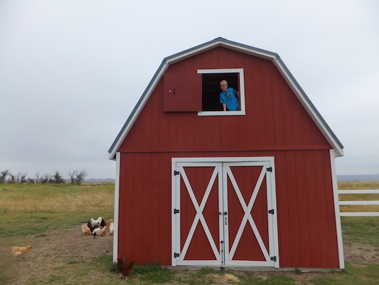 DSCF9487 (08-16-2014 15:31)