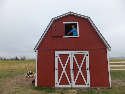 DSCF9488 (08-16-2014 15:31)