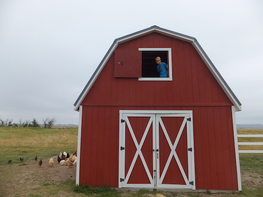 DSCF9489 (08-16-2014 15:31)