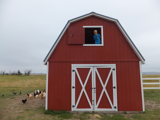 DSCF9490 (08-16-2014 15:31)