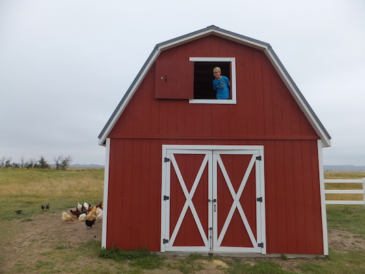 DSCF9491 (08-16-2014 15:31)