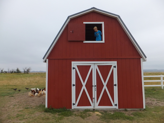 DSCF9492 (08-16-2014 15:31)