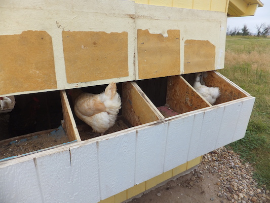 DSCF9493 (08-16-2014 15:32)