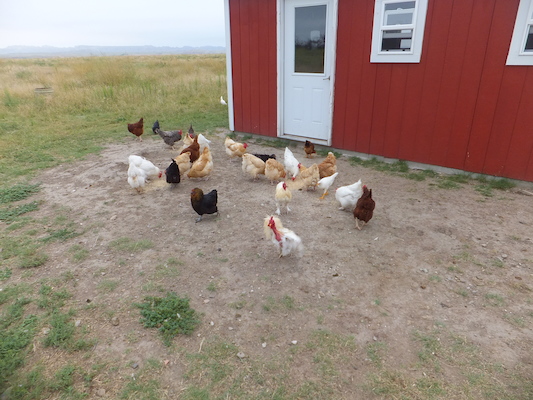 DSCF9495 (08-16-2014 15:32)