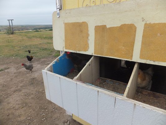 DSCF9496 (08-16-2014 15:33)