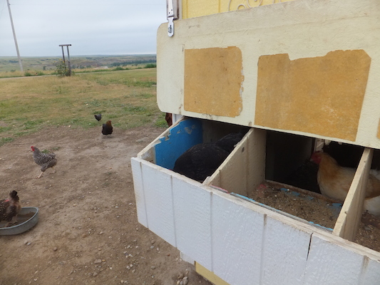 DSCF9497 (08-16-2014 15:33)