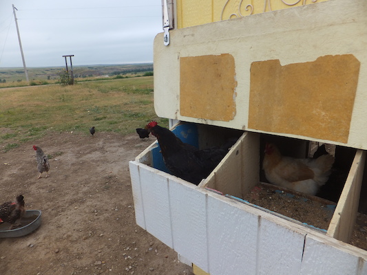 DSCF9498 (08-16-2014 15:33)