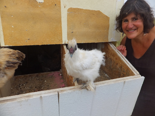 DSCF9499 (08-16-2014 15:33)