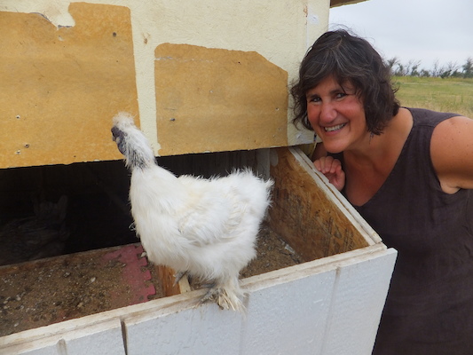 DSCF9500 (08-16-2014 15:33)