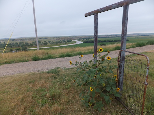 DSCF9501 (08-16-2014 15:36)