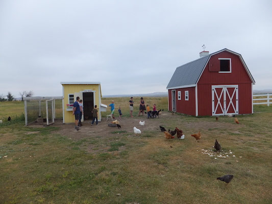 DSCF9503 (08-16-2014 15:37)