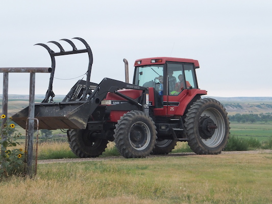 DSCF9504 (08-16-2014 15:38)