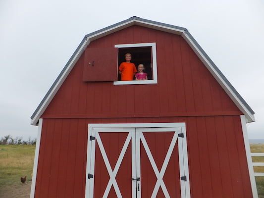 DSCF9516 (08-16-2014 16:02)