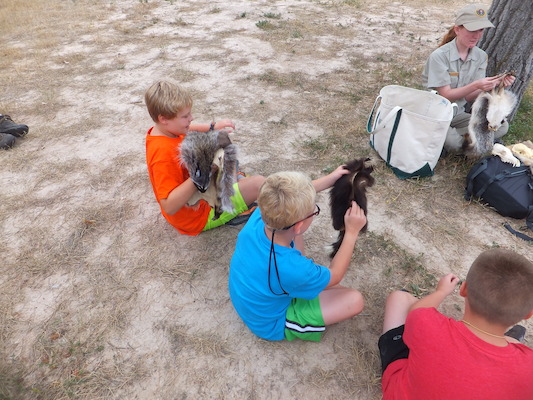 DSCF9528 (08-16-2014 18:05)