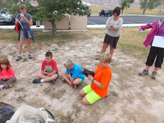 DSCF9529 (08-16-2014 18:06)