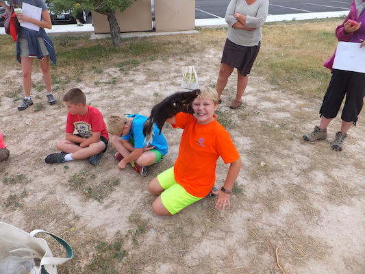 DSCF9530 (08-16-2014 18:06)