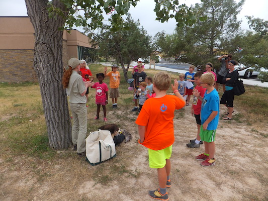 DSCF9532 (08-16-2014 18:20)