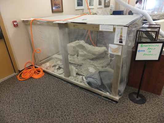 DSCF9543 (08-16-2014 21:44)