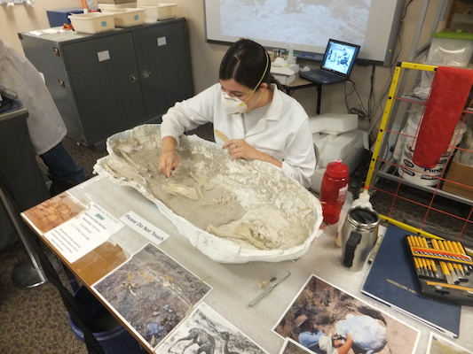 DSCF9544 (08-16-2014 21:45)