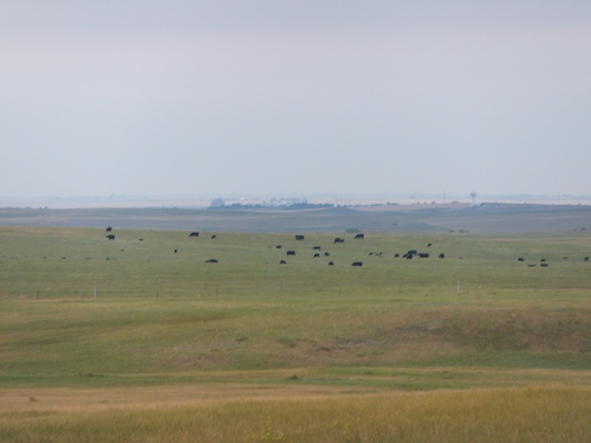 DSCF9577 (08-17-2014 00:45)