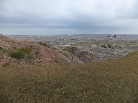 DSCF9578 (08-17-2014 00:59)