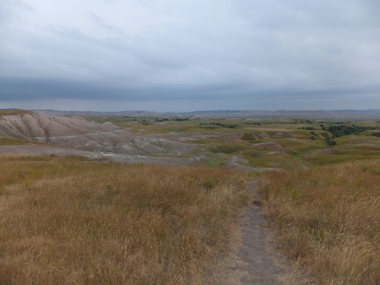 DSCF9579 (08-17-2014 01:07)