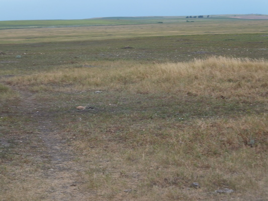 DSCF9580 (08-17-2014 01:09)