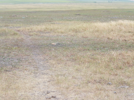 DSCF9581 (08-17-2014 01:09)