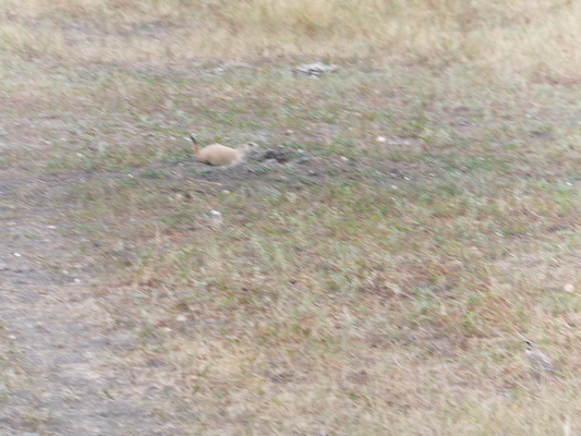 DSCF9582 (08-17-2014 01:09)