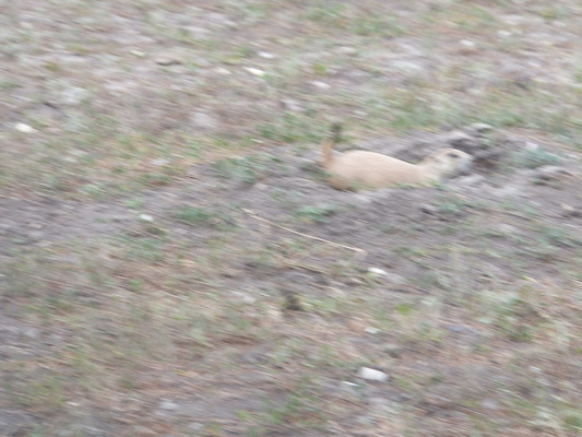 DSCF9587 (08-17-2014 01:10)