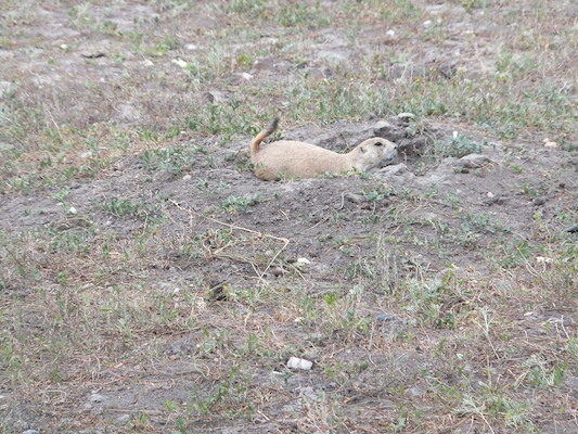 DSCF9588 (08-17-2014 01:10)