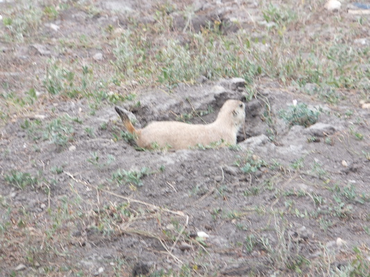 DSCF9589 (08-17-2014 01:11)