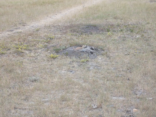 DSCF9593 (08-17-2014 01:19)