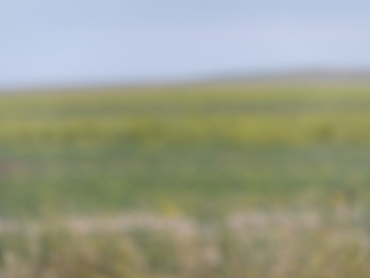 DSCF9595 (08-17-2014 01:30)