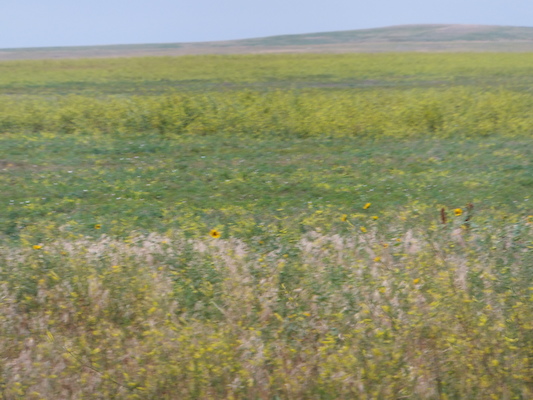 DSCF9596 (08-17-2014 01:30)