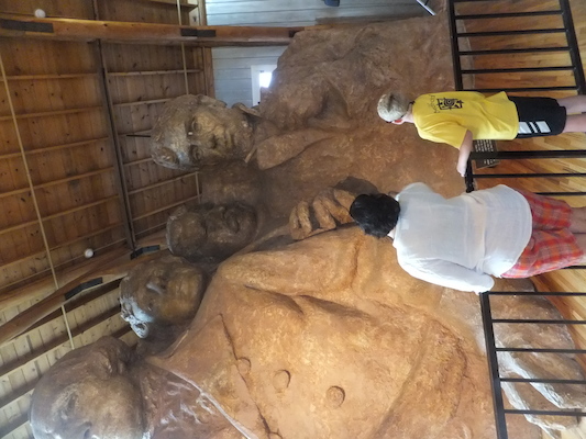 DSCF9631 (08-17-2014 18:32)