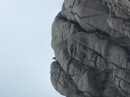 DSCF9636 (08-17-2014 18:47)